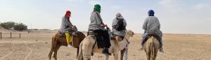 Camel Ride camp AbdelMoula