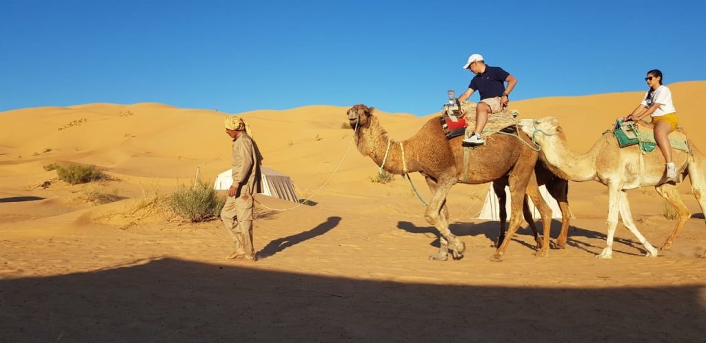 camel ride camp-abdelmoula