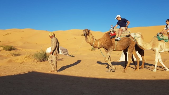 camel ride-abdelmoula-camp