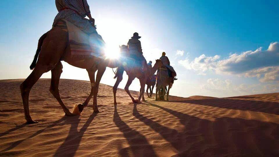 camp-abdelmoula-douz-balade-a-dos-dromadaire