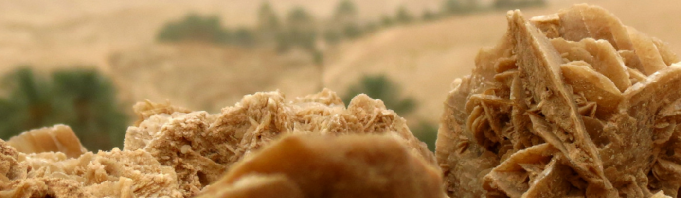 circuits la rose de sable