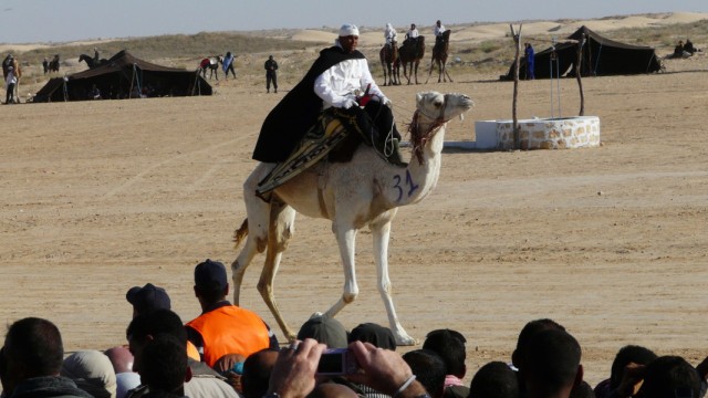 festival du sahara Douz