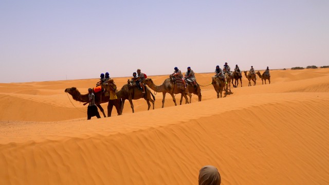 camel ride-abdelmoula-camp