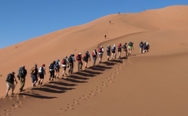Trekking au Sahara